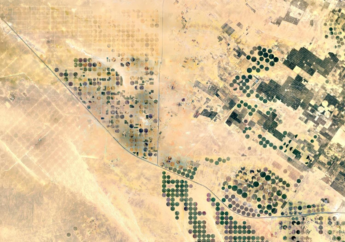 Imagen de campos de cultivo irrigados circulares en el Sahara egipcio. A la izquierda, se aprecian antiguos campos de cultivo abandonados y a la derecha aquellos activos.